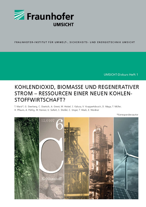 Kohlendioxid, Biomasse und regenerativer Strom - Ressourcen einer neuen Kohlenstoffwirtschaft - Thomas Marzi, Görge Deerberg, Christian Doetsch, Anna Grevè, Markus Hiebel, Stefan Kaluza, Volker Knappertsbusch, Daniel Maga, Torsten Müller, Hartmut Pflaum, Astrid Pohlig, Manfred Renner, Ulrich Seifert, Sebastian Stießel, Christoph Unger, Thorsten Wack, Eckhard Weidner