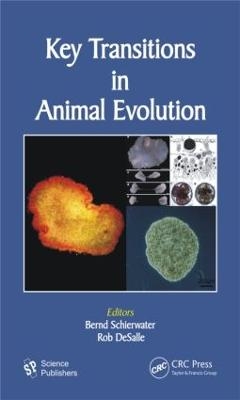 Key Transitions in Animal Evolution - 