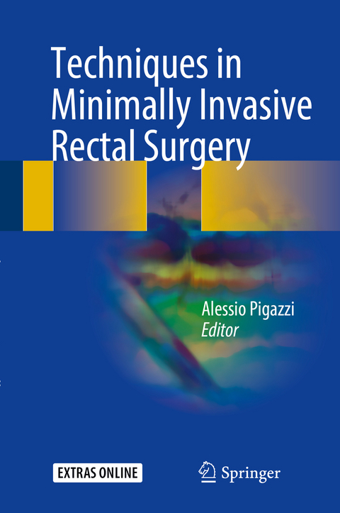 Techniques in Minimally Invasive Rectal Surgery - 