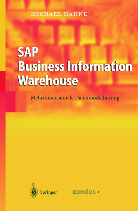 SAP Business Information Warehouse - Michael Hahne