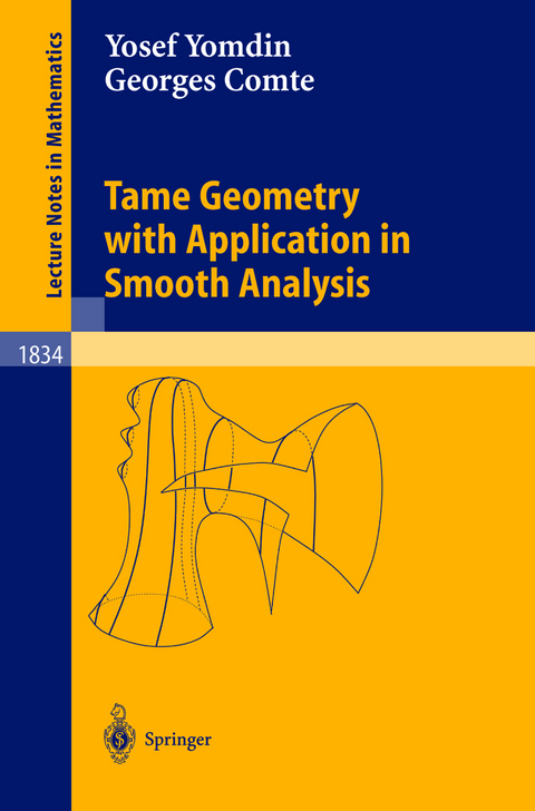 Tame Geometry with Application in Smooth Analysis - Yosef Yomdin, Georges Comte