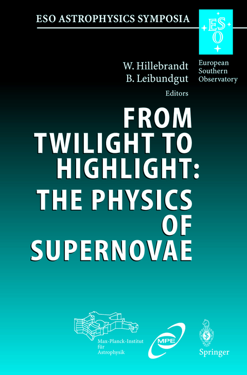 From Twilight to Highlight: The Physics of Supernovae - 