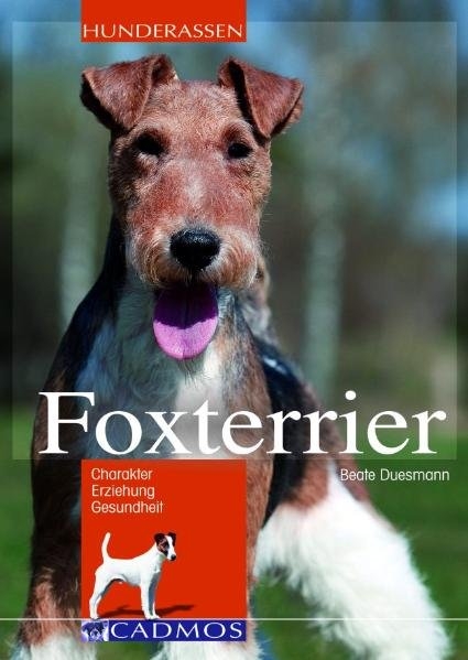 Foxterrier - Beate Duesmann