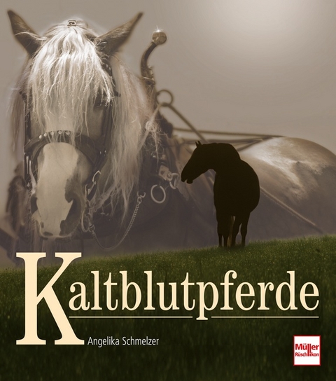 Kaltblutpferde - Angelika Schmelzer