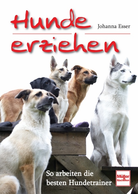 Hunde erziehen - Johanna Esser