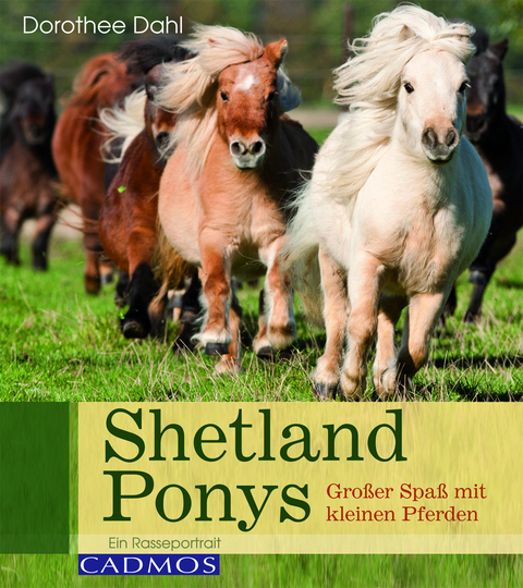 Shetlandponys - Dorothee Dahl