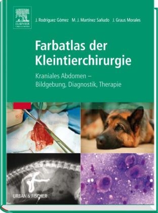 Farbatlas der Kleintierchirurgie - José Rodríguez Gómez, María José Martinez Sañudo, Jaime Graus Morales