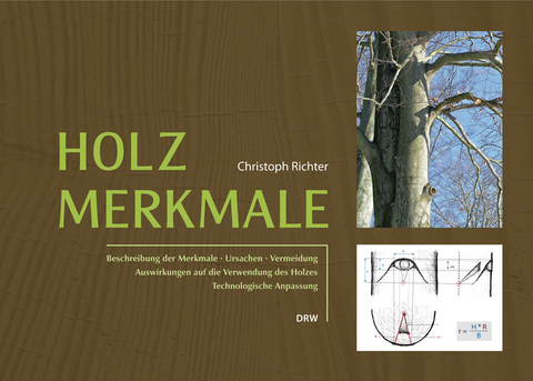 Holzmerkmale - Christoph Richter