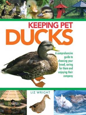 Keeping Pet Ducks - Liz Wright