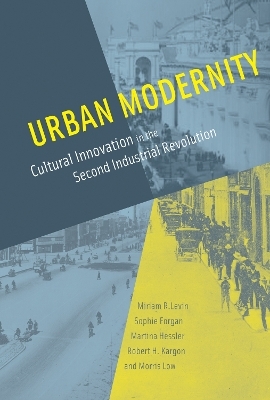 Urban Modernity - Miriam R. Levin, Sophie Forgan, Martina Hessler, Robert H. Kargon, Morris Low