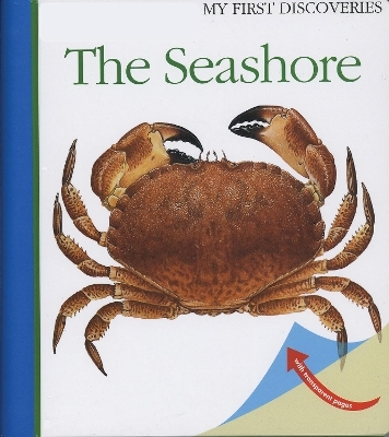 The Seashore - 