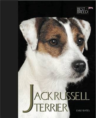 Jack Russell Terrier - Emily Bates