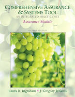 Assurance Practice Set for Comprehensive Assurance & Systems Tool (CAST)-Integrated Practice Set - Laura R. Ingraham, J. Gregory Jenkins