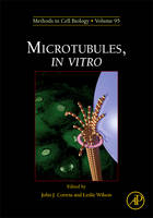 Microtubules, in vitro - 