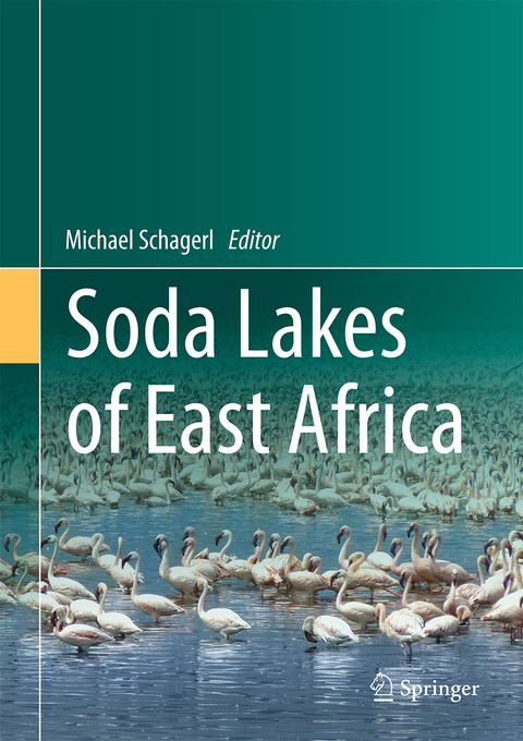 Soda Lakes of East Africa - 