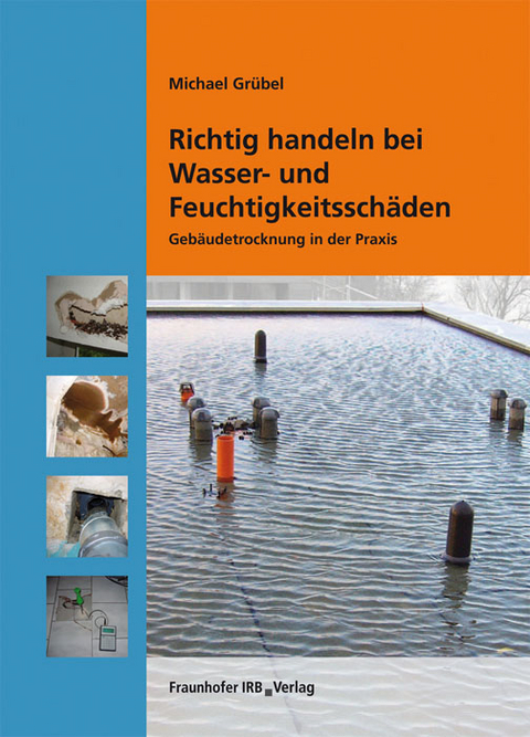 Richtig handeln bei Wasser- und Feuchtigkeitsschäden - Michael Grübel