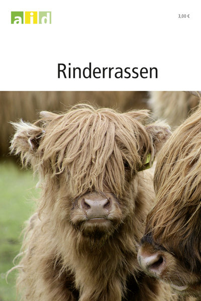 Rinderrassen - Antje Elfrisch, Elisabeth Roesicke