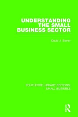 Understanding The Small Business Sector -  David J. Storey