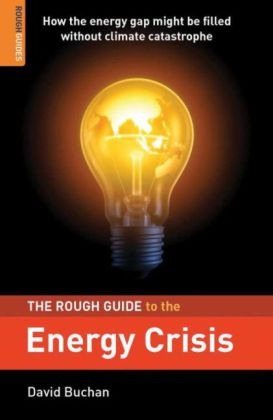 The Rough Guide to the Energy Crisis - David Buchan