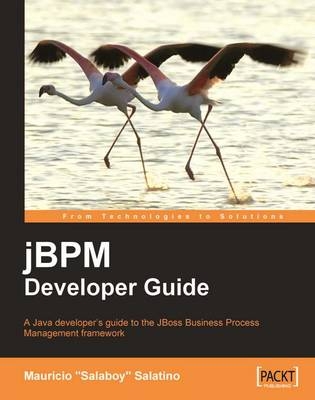 jBPM Developer Guide - Mauricio Salatino