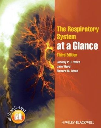 Respiratory System at a Glance - Jeremy P. T. Ward, Jane Ward, Richard M. Leach, Charles M. Wiener