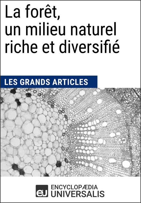 La forêt, un milieu naturel riche et diversifié -  Encyclopaedia Universalis