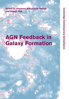 AGN Feedback in Galaxy Formation - 