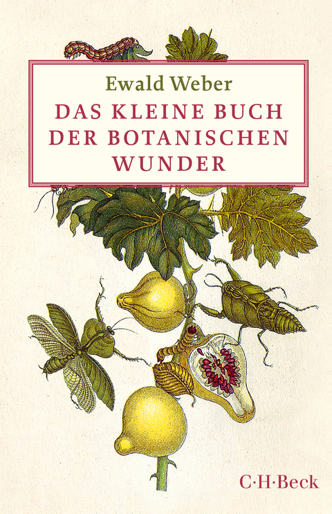 Das kleine Buch der botanischen Wunder - Ewald Weber