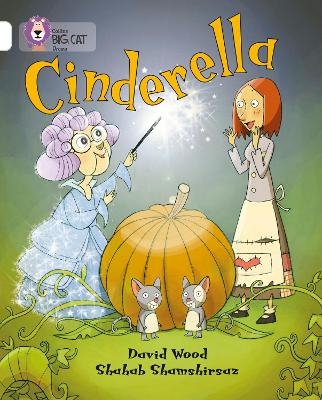 Cinderella - David Wood, Shahab Shamshirsaz