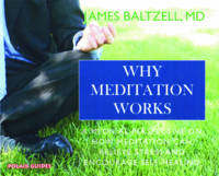 Why Meditation Works - James Baltzell