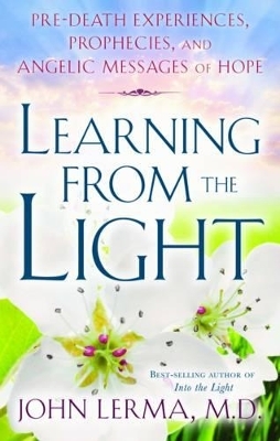 Learning from the Light - John Lerma