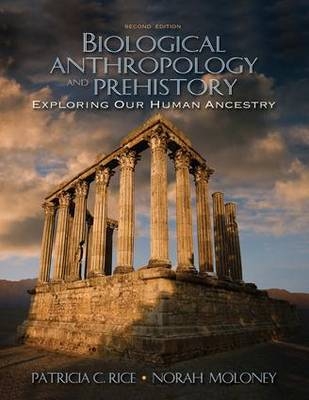 Biological Anthropology and Prehistory -  Norah Moloney,  Patricia C. Rice