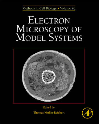 Electron Microscopy of Model Systems - 