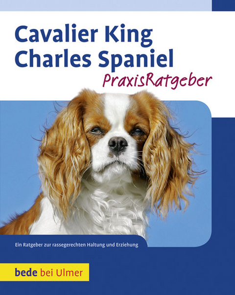 Cavalier King Charles Spaniel - Juliette Cunliffe