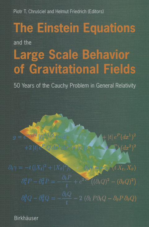 The Einstein Equations and the Large Scale Behavior of Gravitational Fields - 