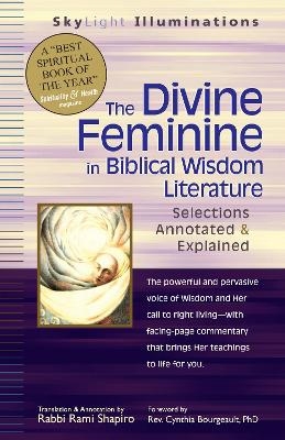 The Divine Feminine in Biblical Wisdom Literature - Rabbi Rami Shapiro