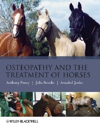 Osteopathy and the Treatment of Horses - Anthony Pusey, Julia Brooks, Annabel Jenks