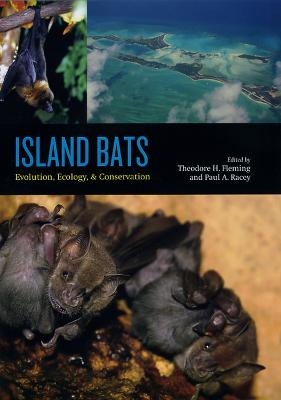 Island Bats - 