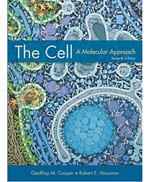 The Cell. International Edition - Geoffrey M. Cooper, Robert E. Hausman