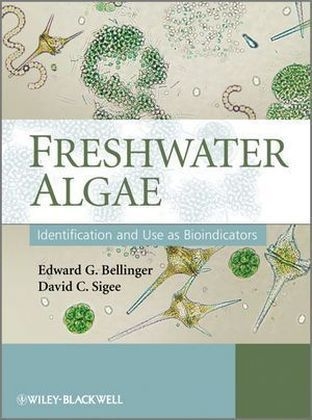 Freshwater Algae - Edward G. Bellinger, David C. Sigee