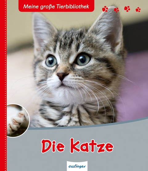 Meine große Tierbibliothek: Die Katze - Stéphane Frattini