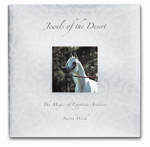 Jewels of the Desert - Judith Wich