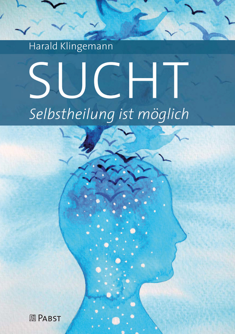 Sucht: Selbstheilung ist möglich -  Harald Klingemann