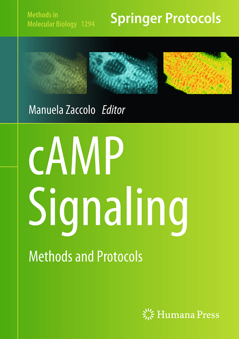 cAMP Signaling - 