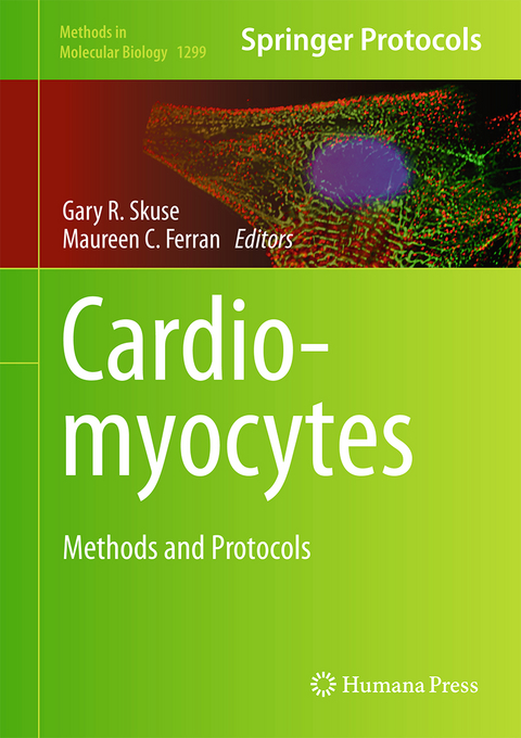 Cardiomyocytes - 