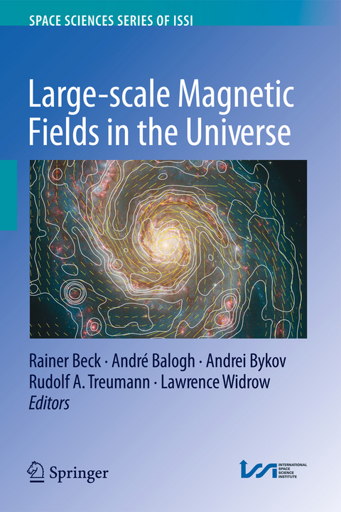 Large-scale Magnetic Fields in the Universe - 