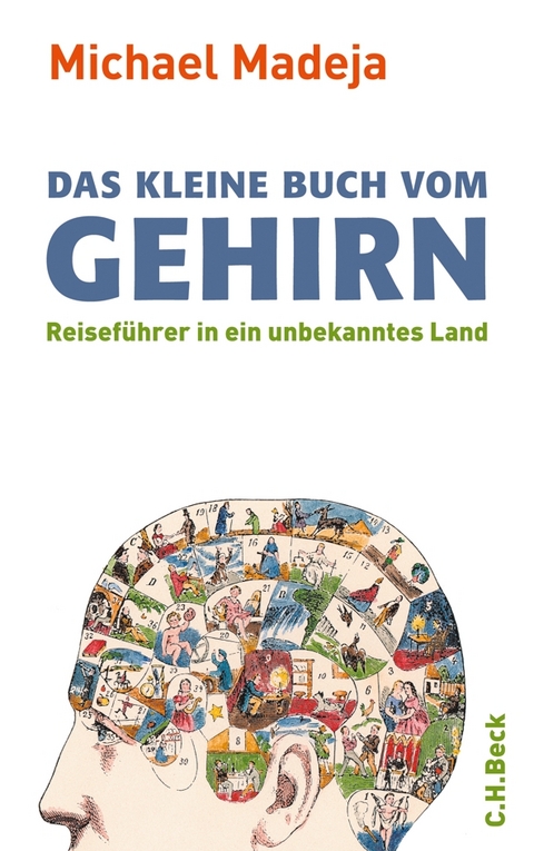 Das kleine Buch vom Gehirn - Michael Madeja