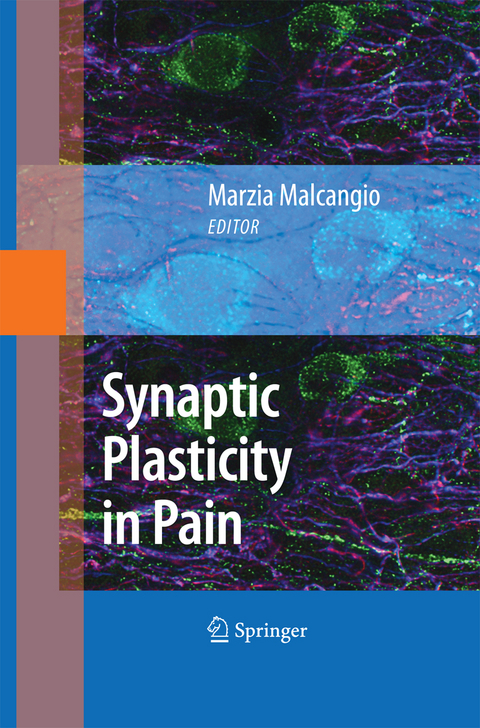 Synaptic Plasticity in Pain - 