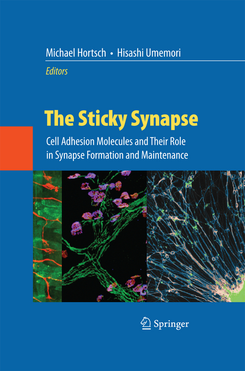 The Sticky Synapse - 