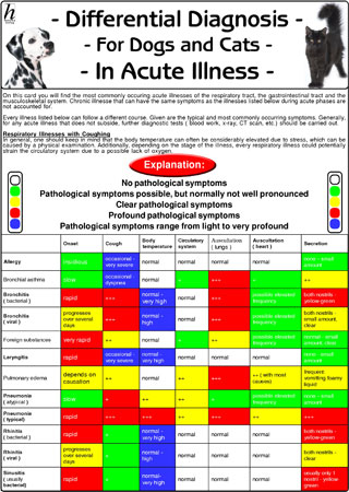 Differential Diagnosis for Dogs and Cats in Acute Illnesses - 